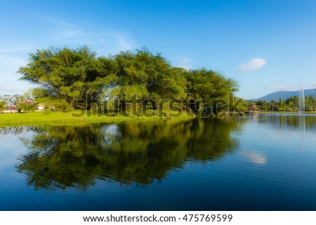 Beautiful Lake Garden with Reflection