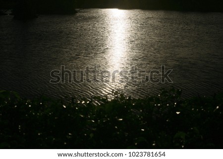 beautiful lake in golf park at sunset