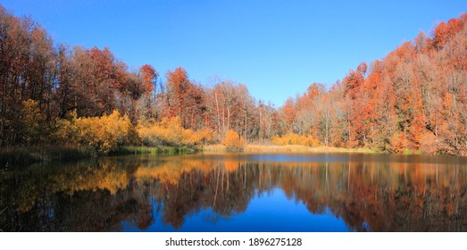 秋の景色 の画像 写真素材 ベクター画像 Shutterstock