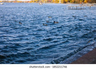 Beautiful Lake Mendota In Summer