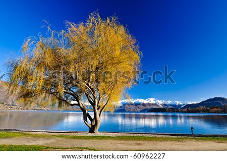 Beautiful lake of Newzealand