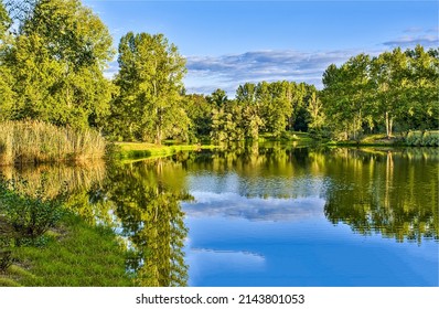 A beautiful lake in a summer green forest. Lake shoreline background reflection. Summer green lake view. Summer forest lake landscape - Shutterstock ID 2143801053