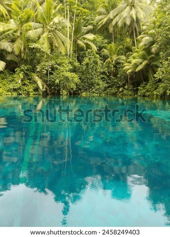 Pool with jungle