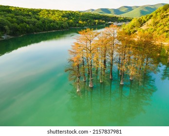 Beautiful lake with trees growing in the water. Green swamp cypresses on Sukko lake in Anapa, Russia. Summer nature landscape - Shutterstock ID 2157837981