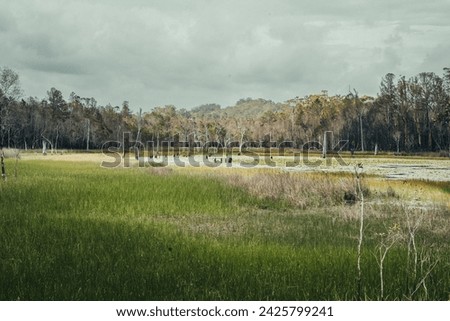 Beautiful lake with trees surrounding. Cloudy sky with blue water and lilypads. Location: Beerwah State Forest, Qld, Australia