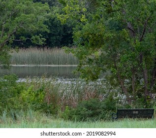 A Beautiful Lake View Bench 