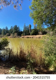 Beautiful Lake View On An Early Morning Hike In The Hidden Hills Of Los Angeles