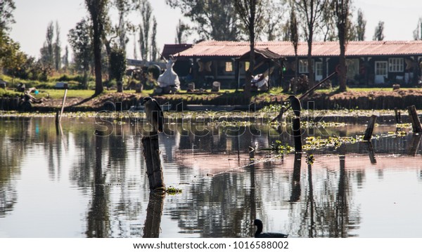 Beautiful Lake Xochimilco Valley Mexico Iconic Stock Photo Edit