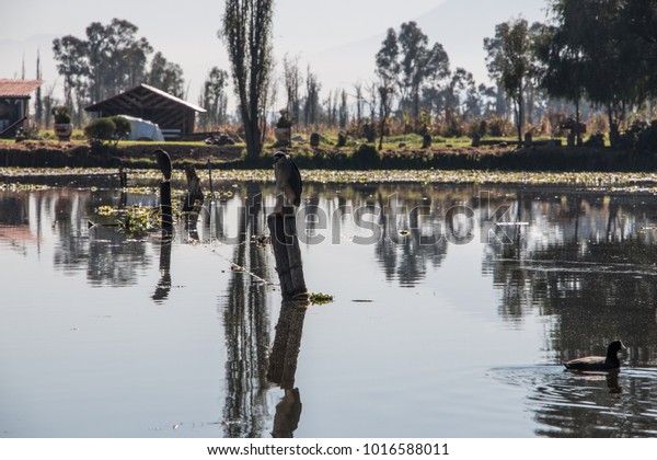 Beautiful Lake Xochimilco Valley Mexico Iconic Stock Photo Edit