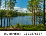 Beautiful lakeside view from a small lake in Sweden, with lush green trees, blue sky  and sunlight