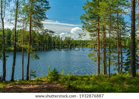 Beautiful lakeside view from a small lake in Sweden, with lush green trees, blue sky  and sunlight