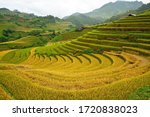 Beautiful landscape about terraced rice field in Yen Bai province, Vietnam 