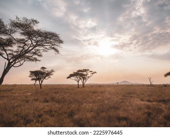 beautiful landscape of the African savannah at sunset - Powered by Shutterstock