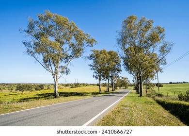Beautiful landscape of Alentejo and famous national road N2, Almodovar, Portugal