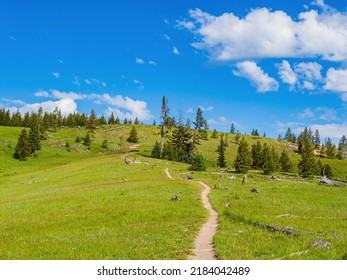 Beautiful Landscape Along The Yellowstone Lake Overlook Trail At Wyoming