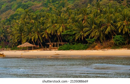 Beautiful Landscape Of The Arabian Sea With Coconut Trees At Sindhudurg District