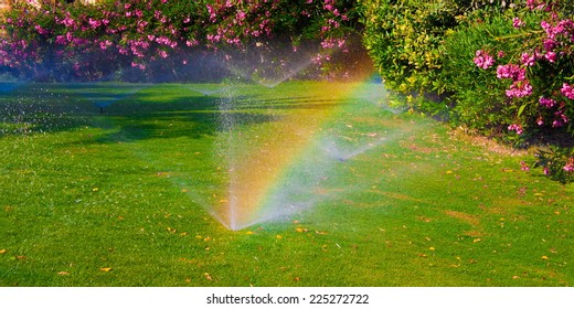 Beautiful Landscape With Automatic  Sprinkler Spraying  Watering The Lawn In The Home Garden With A Rainbow In Water Drops