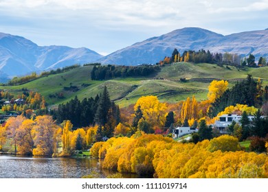 Beautiful landscape of autumn trees and house in a town in rural area. - Shutterstock ID 1111019714