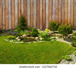  A beautiful landscape of the backyard and a composition of flowers and bushes against the background of a wooden fence. Detail of the botanical garden.