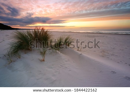 Beautiful landscape of the Baltic Sea coast at sunset, beach, white sand, grass, Kolobrzeg, Poland.
