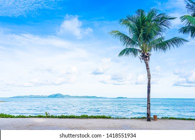 Sea Tree Images Stock Photos Vectors Shutterstock