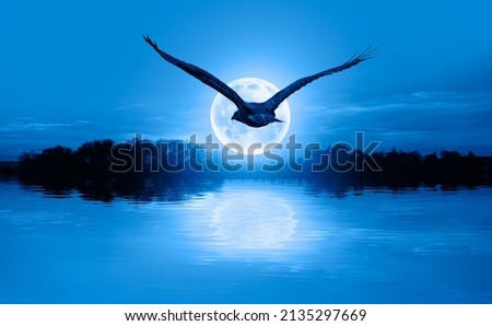 Beautiful landscape with blue misty silhouettes of tree on the lake - Night sky with moon in the clouds with Red-tailed Hawk flying 