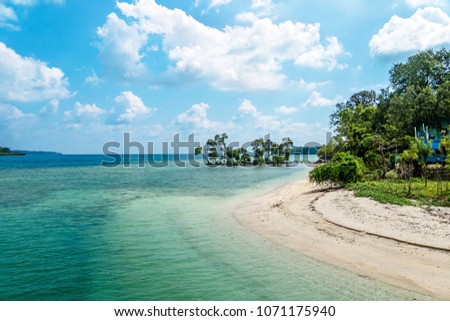 Beautiful landscape of blue sky sea sand and white waves on the beach during summer at Koh. trees in the water white sand on the beach. Havelock island Andaman and Nicobar Islands India
