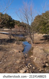 Beautiful Landscape In Brownwood Texas Creek.