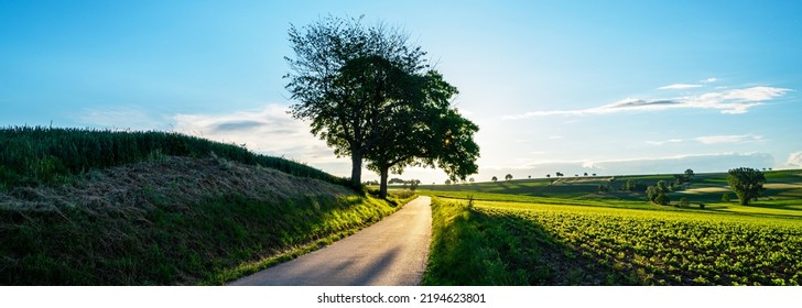 Beautiful landscape with colorful, light and shadow during sunset of rural landscap near of near Mulhouse in eastern France, close to the Swiss and German borders. Rural road. Color in nature. - Shutterstock ID 2194623801