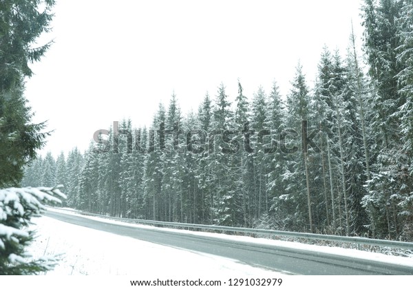 Beautiful landscape with conifer forest and road on\
snowy winter day