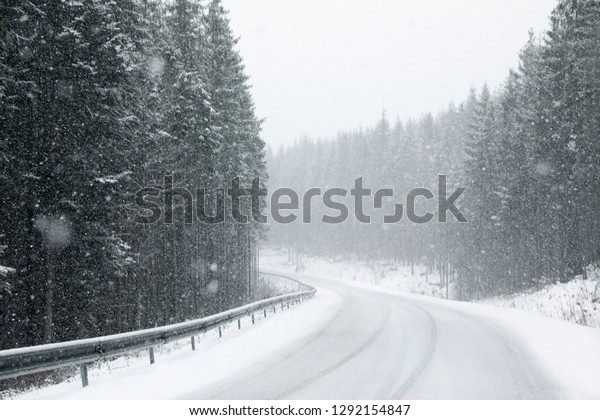 Beautiful landscape with conifer forest and road on\
snowy winter day