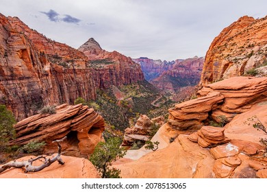 Beautiful landscape. Dry trees on rock slopes. Scenic view of the canyon. Zion National Park, Utah, USA - Shutterstock ID 2078513065