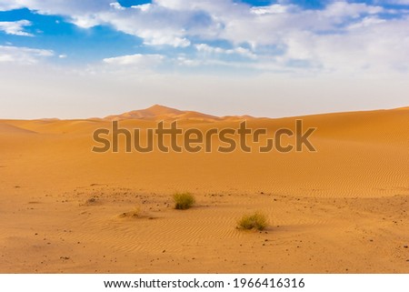 Similar – Image, Stock Photo wilderness