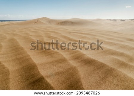Beautiful landscape of dunes in windy Maspalomas Nature Reserve, Gran Canaria, Spain