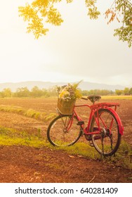 Beautiful landscape of field with red classic Japan bicycle and flowers in basket 