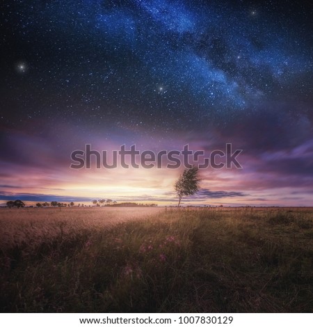 Beautiful landscape with field under sky with starrs. Polish landscape.