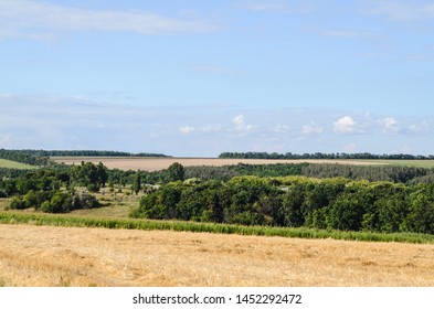 Beautiful landscape with fields and trees.