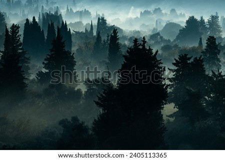 Beautiful landscape with fog and low clouds on a mountain range. A foggy landscape with a quiet pine forest creating a scene. Nordic nature in the magical light of dawn. Background with copy space