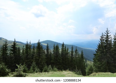 Beautiful landscape with forest and mountain slopes - Shutterstock ID 1208888134