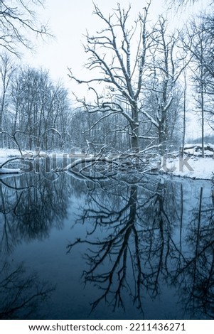 Foto Bild Winterzauber Landschaft