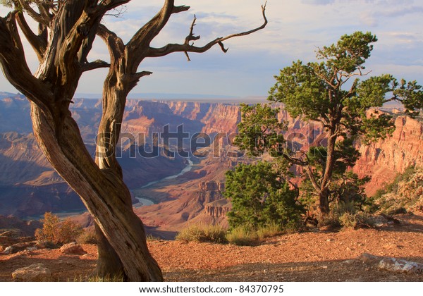 Beautiful Landscape of Grand\
Canyon from Desert View Point with the Colorado River visible\
during dusk
