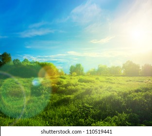 Beautiful Landscape With Grass, Trees, Sky And Sun.