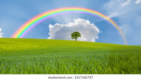 Beautiful landscape with green grass field and lone tree in the background amazing rainbow - Powered by Shutterstock