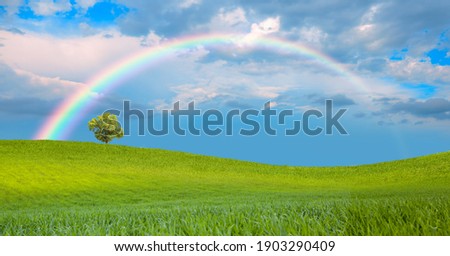 Beautiful landscape with green grass field and lone tree in the background amazing rainbow