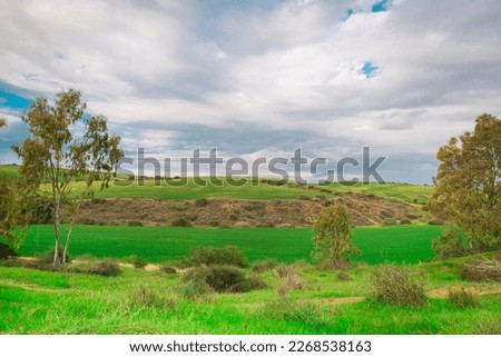 Beautiful landscape with green hills and meadows against the backdrop of white clouds. Ruhama Badlands in winter, Northern Negev Desert, Israel.