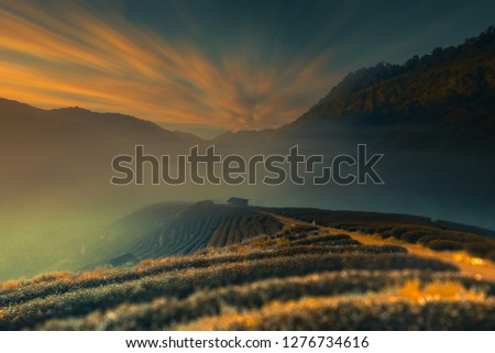 Similar – Golden hour at Picos de Europa mountain range