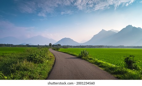 Beautiful landscape growing Paddy rice field two side with long road and mountain blue sky background view near Nagercoil, Kanyakumari District. Tamil Nadu, South India.