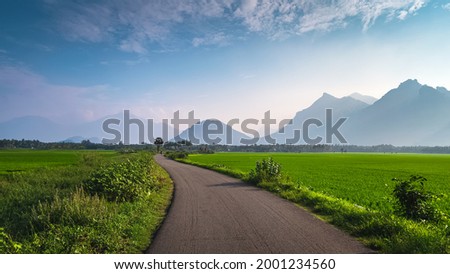 Beautiful landscape growing Paddy rice field two side with long road and mountain blue sky background view near Nagercoil, Kanyakumari District. Tamil Nadu, South India.