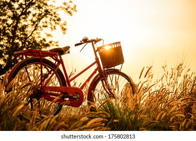 Beautiful Landscape Image With Bicycle  At Sunset