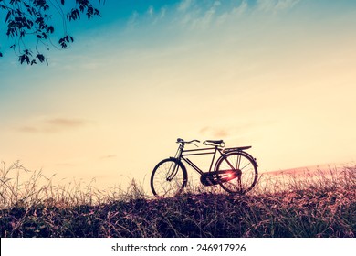 beautiful bicycle images